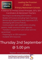 Leading the Provision of SEN in Mainstream Primary Schools