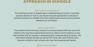 Understanding Trauma – Using a Trauma Focused Approach in Schools