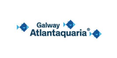 Call for schools and Educators to share their artistic creations with Galway Atlantaquaria